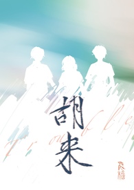 胡来NP